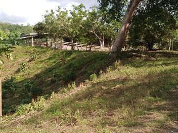Venta Hacienda Ganadera, Atacames, Esmeralda
