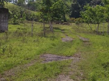 Venta Hacienda Ganadera, Atacames, Esmeralda