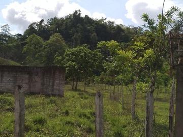 Venta Hacienda Ganadera, Atacames, Esmeralda