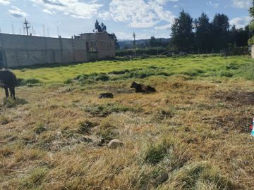 Venta De Terreno En El Porongo A 2 Minutos De Baños Del Inca