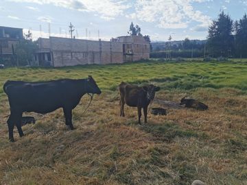 Venta De Terreno En El Porongo A 2 Minutos De Baños Del Inca