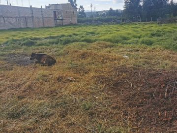Venta De Terreno En El Porongo A 2 Minutos De Baños Del Inca