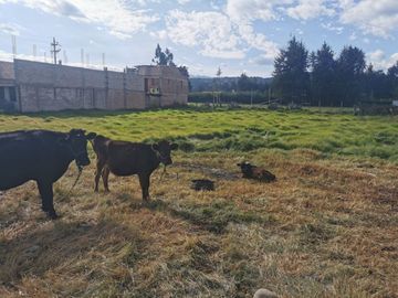 Venta De Terreno En El Porongo A 2 Minutos De Baños Del Inca