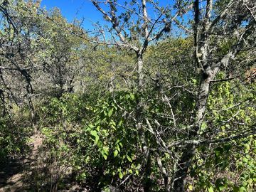 TERRENO CON ESCRITURAS EN LA SIERRA DE STA ROSA