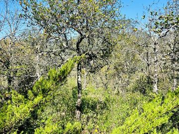 TERRENO CON ESCRITURAS EN LA SIERRA DE STA ROSA