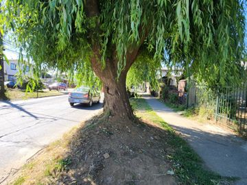 Se vende casa con cabaña en Rene Schneider casi llegando a Rubén Darío, Valdivia