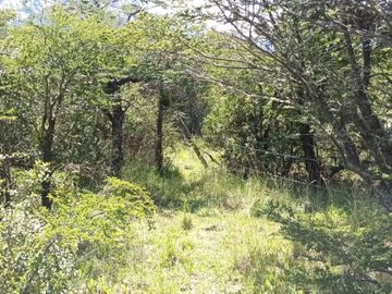 Parcela con casa Vista a Cerro Castillo Región de Aysen