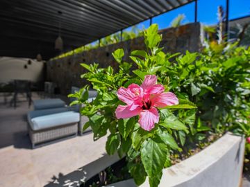Departamento en venta habitacional