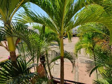 Casa en Venta Terralta Los Amores Bucerias Bahia de Banderas Puerto Vallarta