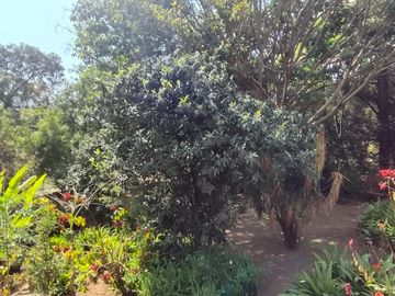 CASA EN VENTA EN PUEBLO MISTICO  AMATLAN DE QUETZALCOATL, TEPOZTLAN MORELOS $10,900,000.00