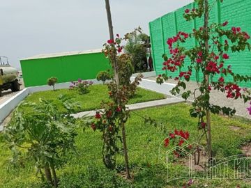 SE VENDE TERRENOS DE 120 m2, 160 m2 y 200 m2 EN HUACHO DESDE S/ 16,000.00.