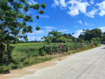 9,500 sqm along highway for sale in Buenavista, Guimaras
