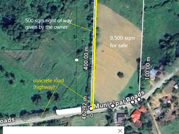 9,500 sqm along highway for sale in Buenavista, Guimaras