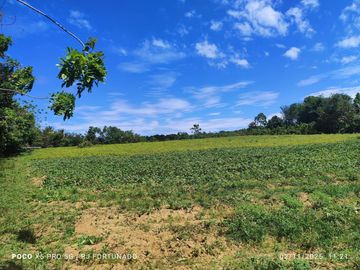 9,500 sqm along highway for sale in Buenavista, Guimaras