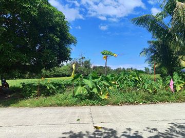 9,500 sqm along highway for sale in Buenavista, Guimaras