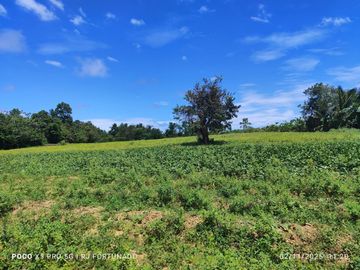 9,500 sqm along highway for sale in Buenavista, Guimaras