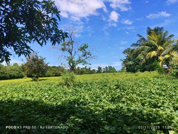 9,500 sqm along highway for sale in Buenavista, Guimaras