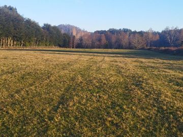 TERRENO DE 6 HECTÁREAS EN PAILLAO, VALDIVIA REGIÓN DE LOS RIOS.