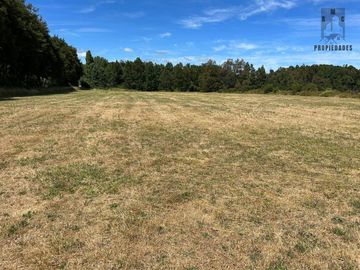 TERRENO DE 6 HECTÁREAS EN PAILLAO, VALDIVIA REGIÓN DE LOS RIOS.
