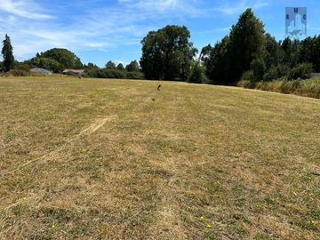 TERRENO DE 6 HECTÁREAS EN PAILLAO, VALDIVIA REGIÓN DE LOS RIOS.