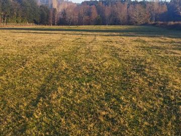TERRENO DE 6 HECTÁREAS EN PAILLAO, VALDIVIA REGIÓN DE LOS RIOS.