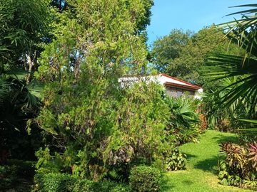 CABAÑA AMOBLADA CON PISCINA,HERMOSA VISTA EN MINCA SANTA MARTA.
