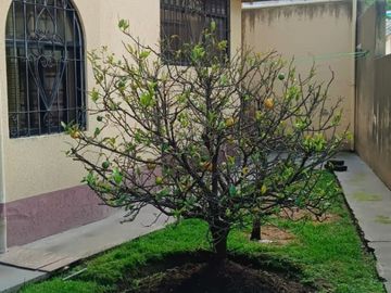 VENDO CASA EN QUITO - SECTOR MONJAS