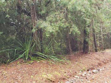 3 Ultimas Parcelas Ecológicas Los Coigües
