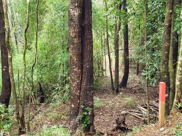 3 Ultimas Parcelas Ecológicas Los Coigües