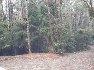 3 Ultimas Parcelas Ecológicas Los Coigües