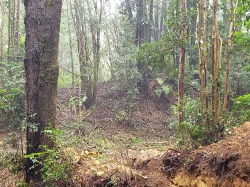 3 Ultimas Parcelas Ecológicas Los Coigües