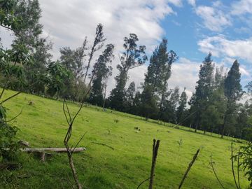 Vendo Propiedad de 4.5hc en Amaguaña - La Balvina