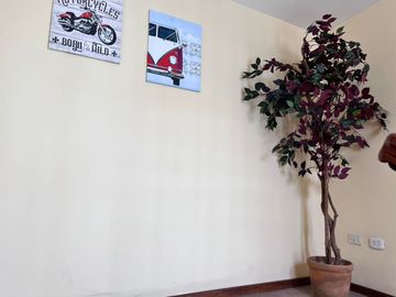 SE PONE EN ALQUILER CASA SEMI AMOBLADA CON TIENDA COMERCIAL - VALLECITO