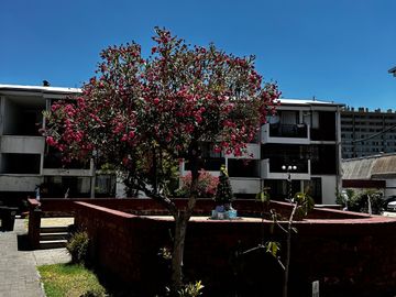 Departamento en San Joaquín – 2 Dormitorios, 1 Baño, Estacionamiento y Bodega