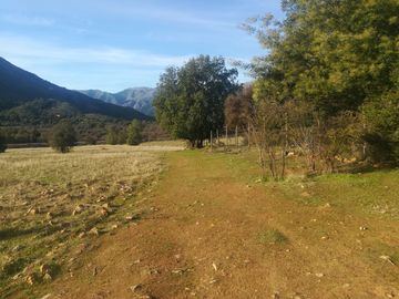 PREDIO 43 HAS EN COLLIGUAY CON CASA