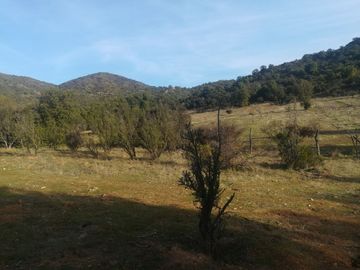 PREDIO 43 HAS EN COLLIGUAY CON CASA