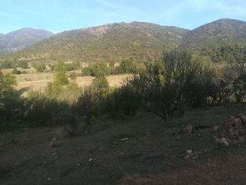 PREDIO 43 HAS EN COLLIGUAY CON CASA