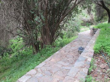 HERMOSA PARCELA CON CASA Y ABUNDANTE VEGETACIÓN NATIVA
