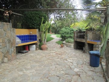 HERMOSA PARCELA CON CASA Y ABUNDANTE VEGETACIÓN NATIVA