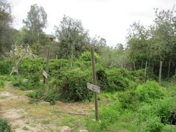 HERMOSA PARCELA CON CASA Y ABUNDANTE VEGETACIÓN NATIVA
