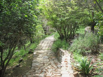 HERMOSA PARCELA CON CASA Y ABUNDANTE VEGETACIÓN NATIVA