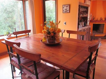 HERMOSA PARCELA CON CASA Y ABUNDANTE VEGETACIÓN NATIVA