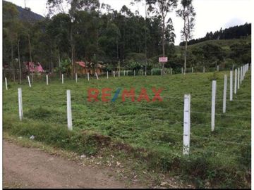 Vendo Terreno Urbano En Oxapampa
