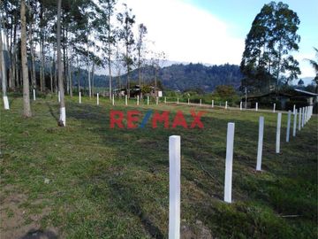 Vendo Terreno Urbano En Oxapampa