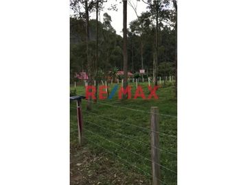 Vendo Terreno Urbano En Oxapampa