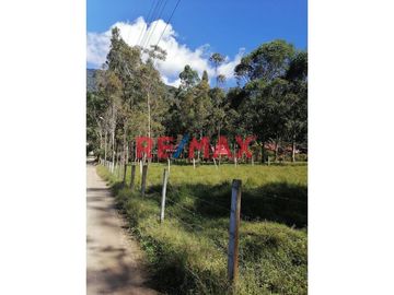 Vendo Terreno Urbano En Oxapampa