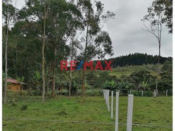 Vendo Terreno Urbano En Oxapampa