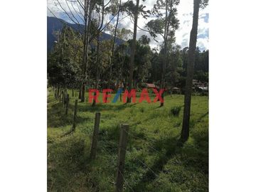 Vendo Terreno Urbano En Oxapampa
