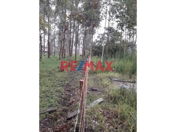 Vendo Terreno Urbano En Oxapampa