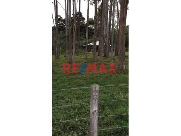 Vendo Terreno Urbano En Oxapampa